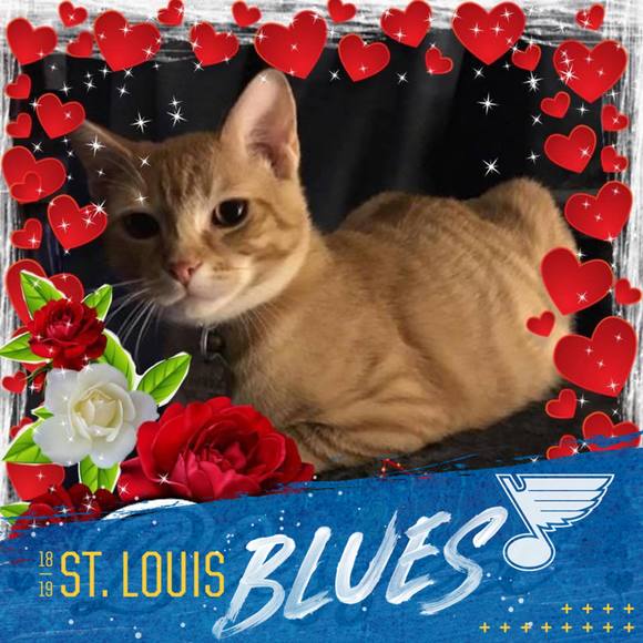 Meet your Posher, Laurie - Picture 1 of 1